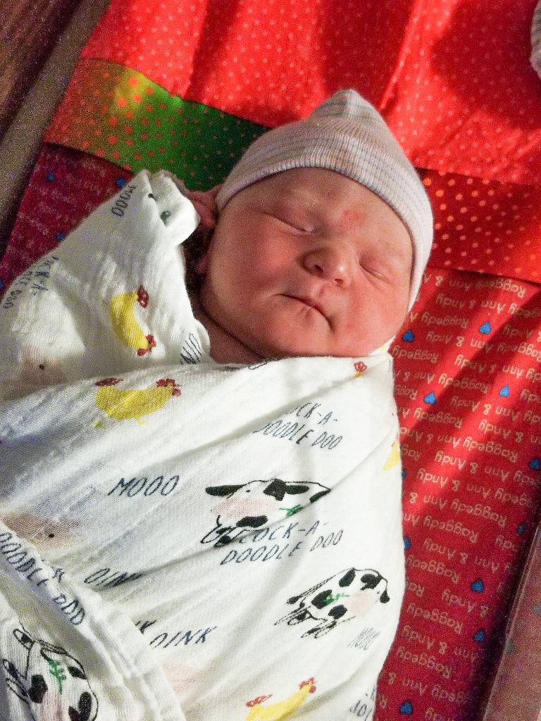 Newborn baby in hospital basinet with farm animal print blanket and hat