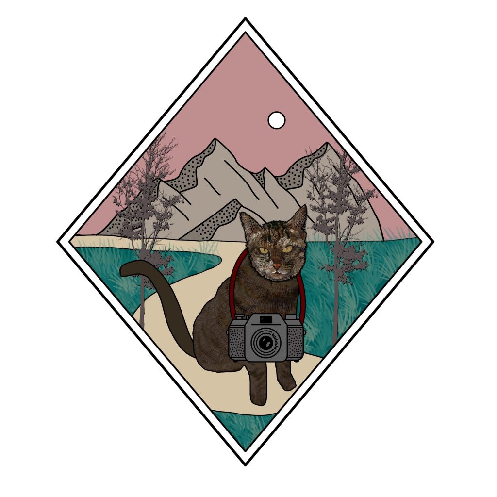 Pink and teal diamond pattern logo with mountains, trees, and a cat wearing a camera all over top of a white background. 