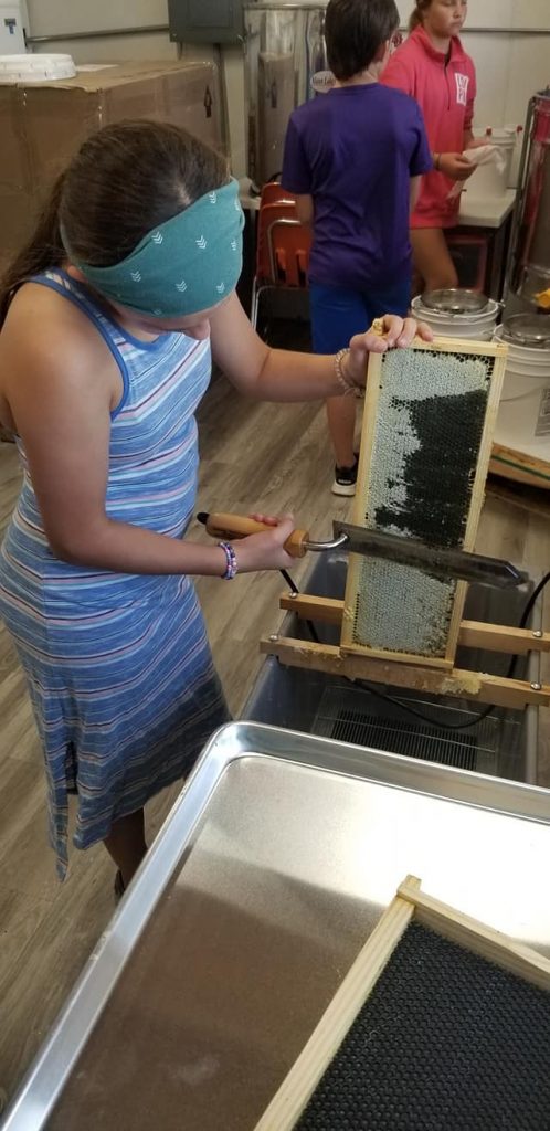 Girl wearing a blue striped dress with blue and white headband using a hot knife to cut comb for honey extraction