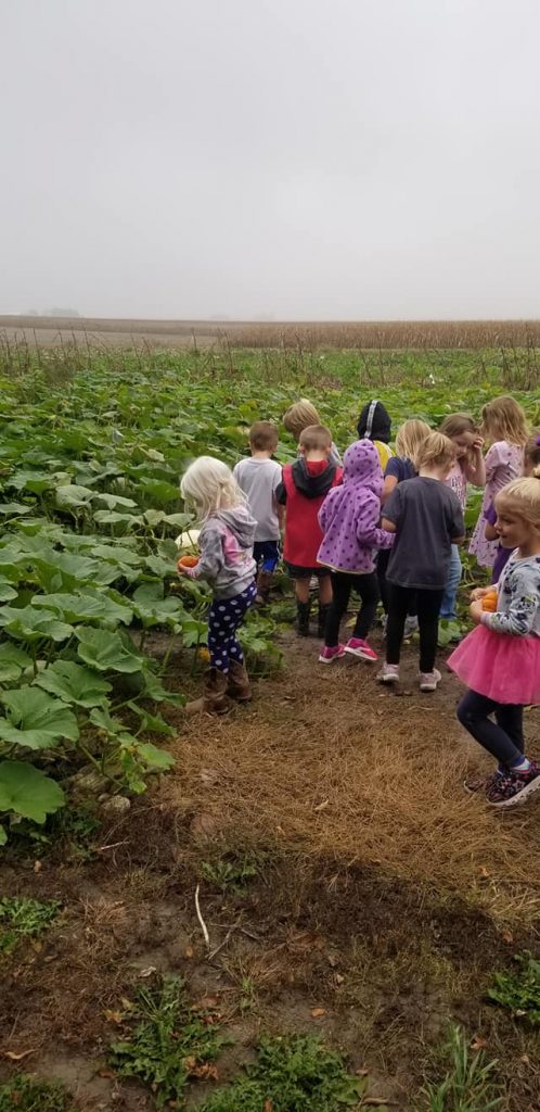 A group of young boys and girls in a pumpkin patch on a cloudy day