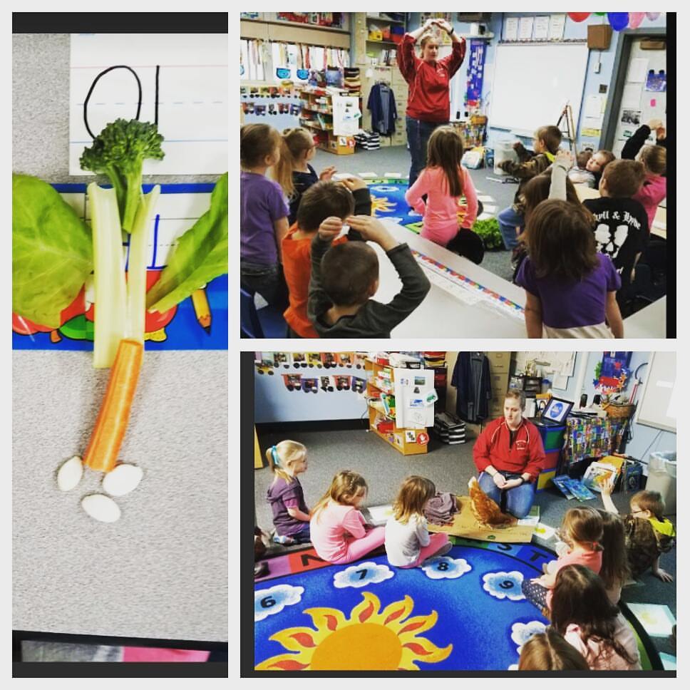 Collage of three pictures. Left picture of a broccoli, celery, spinach, carrot and pumpkin seed art piece. Top right woman in red sweatshirt with arms above head. Bottom right picture of class sitting on the class round rug with chicken and teacher looking at them. 