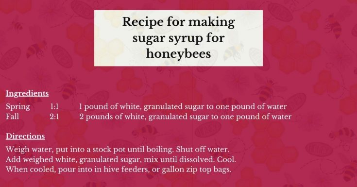 Sugar Syrup for Honeybees